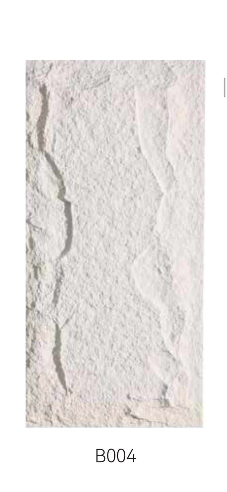 WhatsApp Image 2026-02-04 at 4.39.31 PM-2